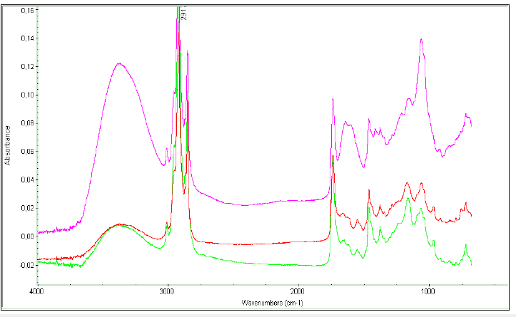 Click here to view Large image 7