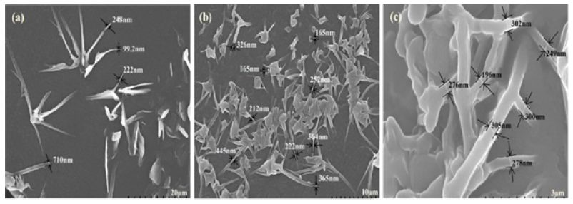 Click here to view Large image 1