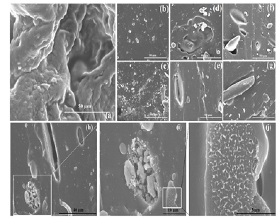 Click here to view Large image 3