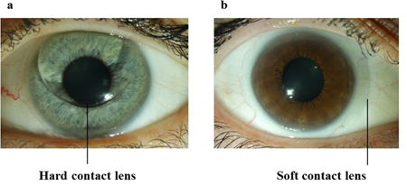 Click here to view Large image 1