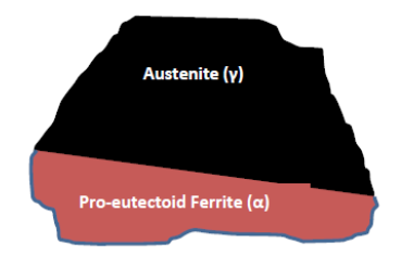 Click here to view Large image 10