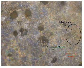 Click here to view Large image 12