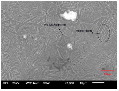 Click here to view Large image 14