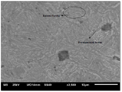 Click here to view Large image 15