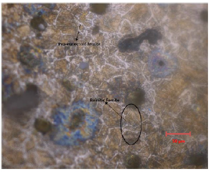 Click here to view Large image 4