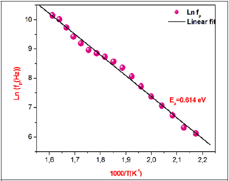 Click here to view Large image 10