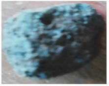 Click here to view Large image 19