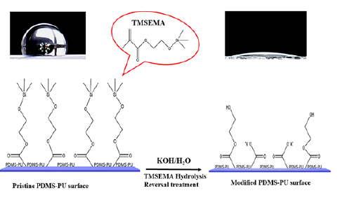 Click here to view Large image 1