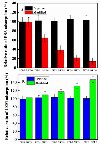 Click here to view Large image 7