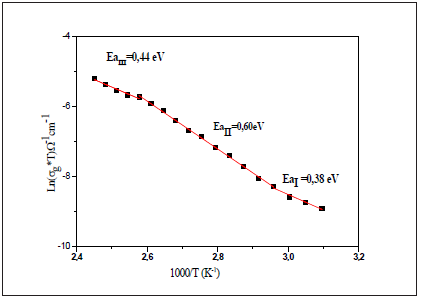 Click here to view Large image 10