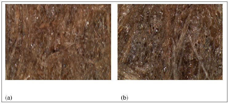 Click here to view Large image 10