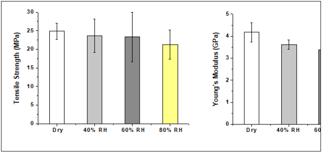 Click here to view Large image 5