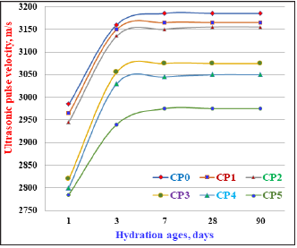 Click here to view Large image 12