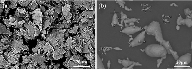 Click here to view Large image 1