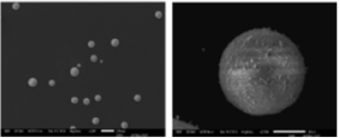 Click here to view Large image 1