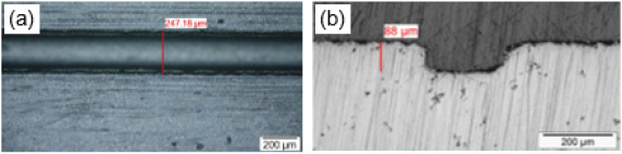 Click here to view Large image 10