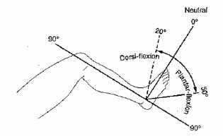 Click here to view Large Table 1