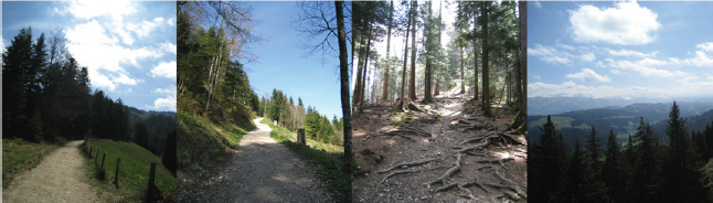 Click here to view Large Table 1