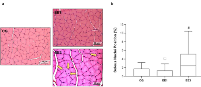 Click here to view Large image 4