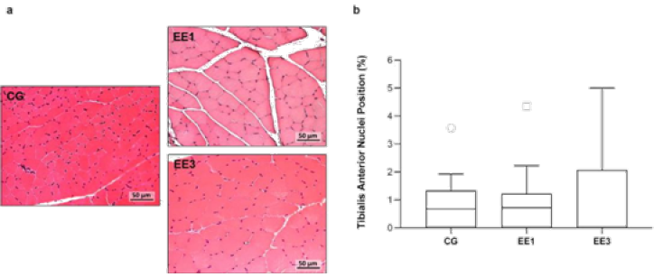 Click here to view Large image 5