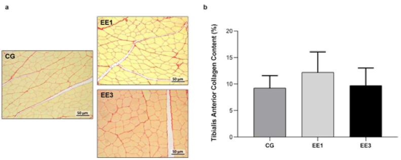 Click here to view Large image 7