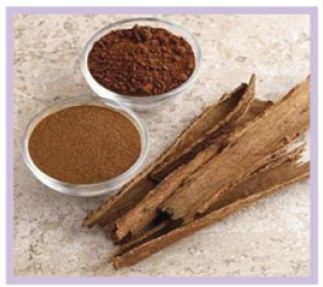 Click here to view Large Figure 1