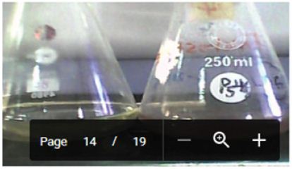 Click here to view Large Figure 2