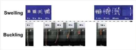 Click here to view Large image 4