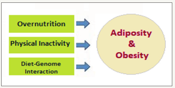 Click here to view Large image 2