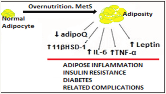 Click here to view Large image 3