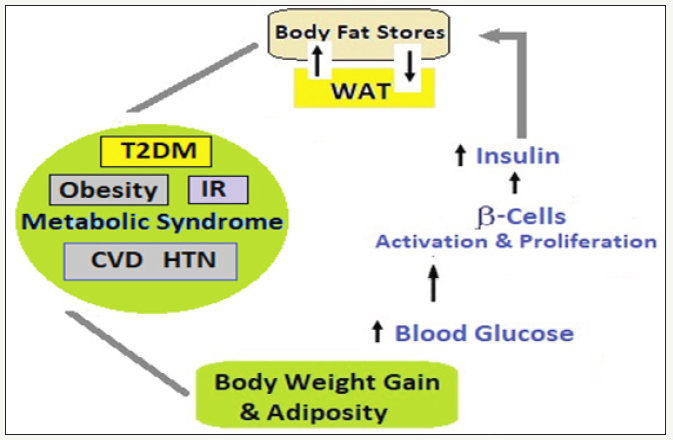 Click here to view Large image 4