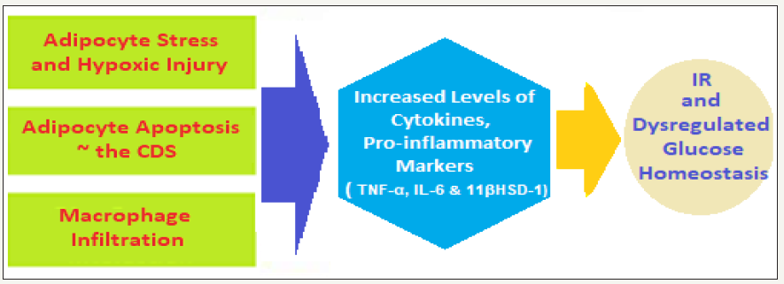 Click here to view Large image 5