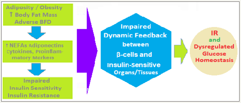 Click here to view Large image 6