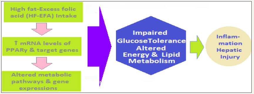 Click here to view Large image 7