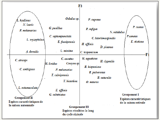 Click here to view Large image 3