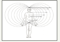 Click here to view Large image 5