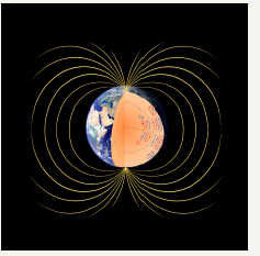 Click here to view Large image 8