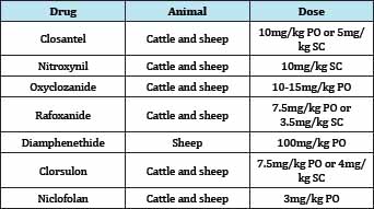 Click here to view Large Table 2