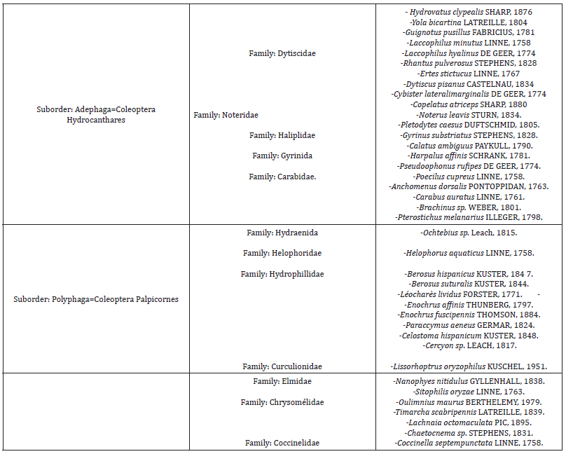 Click here to view Large table 1