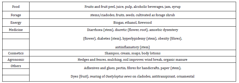 Click here to view Large table 13