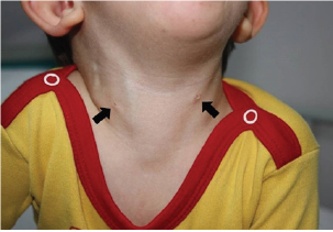 Click here to view Large Figure 1