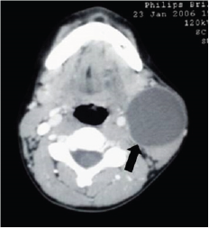 Click here to view Large Figure 1