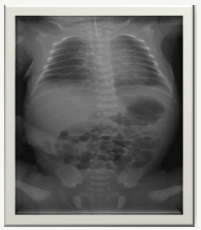 Click here to view Large image 1