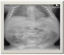 Click here to view Large image 2