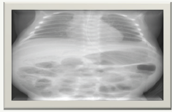 Click here to view Large image 3