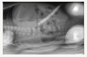 Click here to view Large image 5