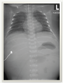 Click here to view Large image 7