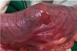 Click here to view Large Figure 1