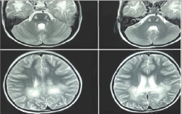 Click here to view Large Figure 1