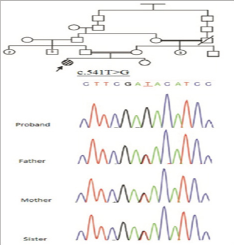Click here to view Large Figure 2